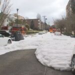 Queen Anne fire crane