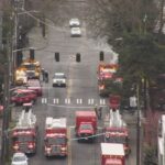 Queen Anne fire crane