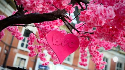 Love is in the air: Your Seattle Valentine's Day weekend guide