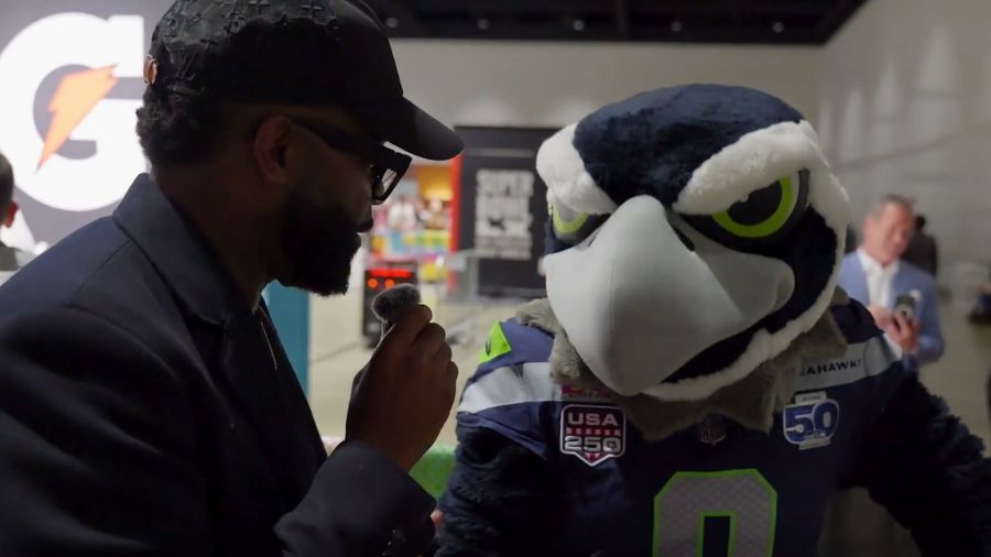 gee seahawks super bowl...