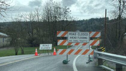 Several Carnation roads closed due to flooding