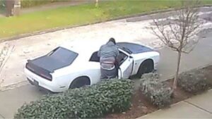 Queen Anne Burglary