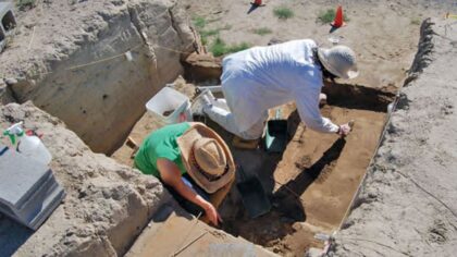 Ice age mammoth being unearthed at WA dig site — tours now available