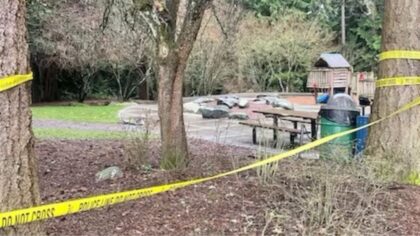 15-year-old shot at Lynnwood park, suspect at large