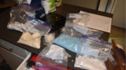 Brothers from Mexico sentenced for trafficking more than 30 pounds of fentanyl in western Washington