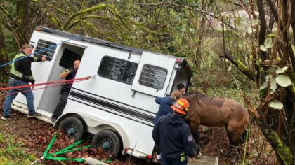 Firefighters rescue horses after trailer slides off road
