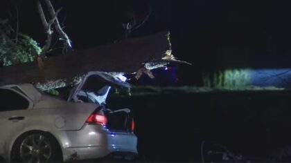 One dead in Monroe after tree falls on vehicle during WA windstorm
