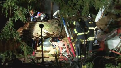 Man trapped in camper for nearly 2 hours after 70-foot tree falls in Carnation