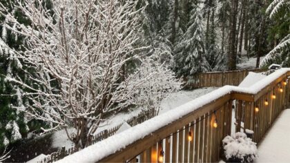 Light snow in WA lowlands creates slushy Friday morning commute