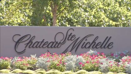 Chateau Ste. Michelle releases 2026 Summer Concert Series lineup