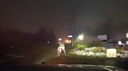 Man arrested for DUI on electric unicycle in Port Orchard