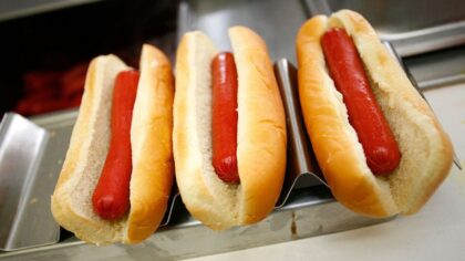 Costco CEO jumps on viral social media trend to taste-test beloved hot dog