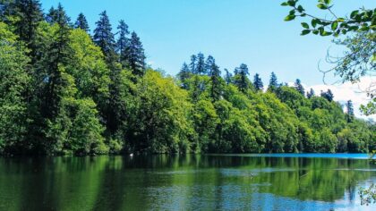 Body of unidentified young man discovered in Lake Fenwick in Kent, police investigating