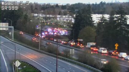 2 armed robbery suspects caught after chase ends in crash in Tukwila