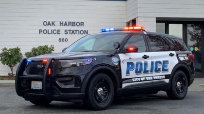 Oak Harbor man arrested for animal cruelty after bringing two dead cats to vet clinic