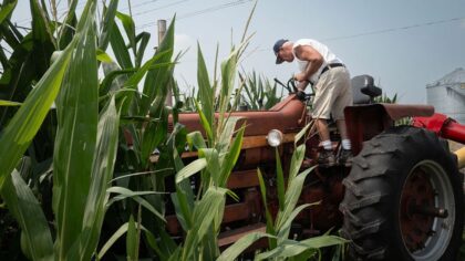 'They need a break': WA farmers, Spike plead Ferguson to pause CCA amid rising diesel prices