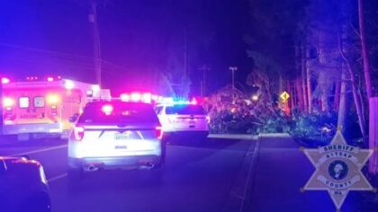 One teen dies, six others injured in single-vehicle crash in Bremerton