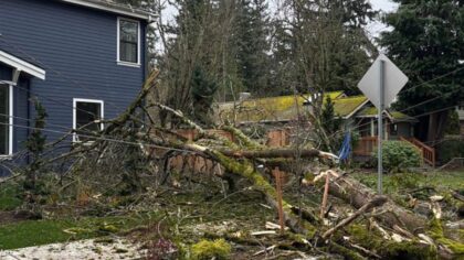 More than 35,000 without power in western WA as snow hampers restoration efforts