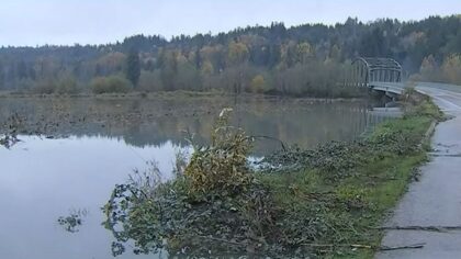Snoqualmie, Tolt rivers hit major flood stage as rain drenches King County