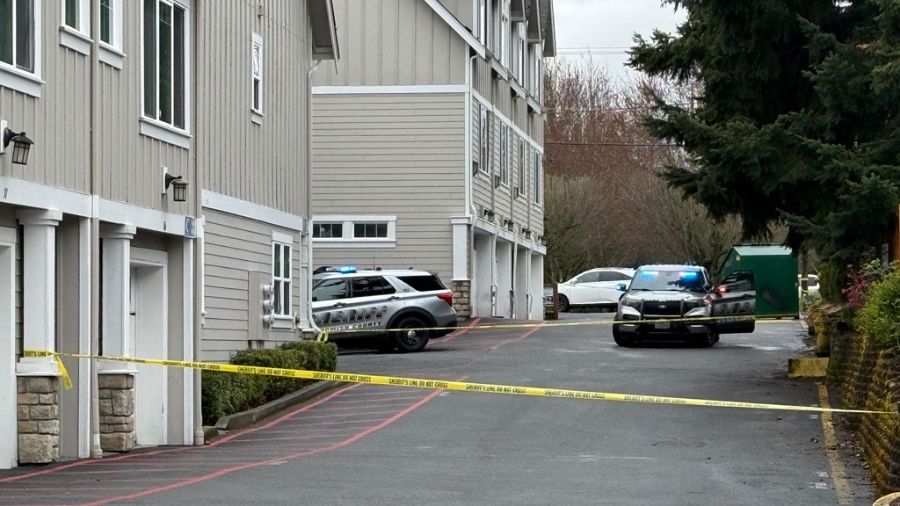 everett stabbing burglary...