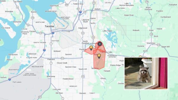 Sitemapcdatahttpabckniqoocompower Outages In Bonney Lakenull