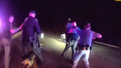 Suspect barricades himself in car after I-5 pursuit in Thurston County, dog inside vehicle unharmed
