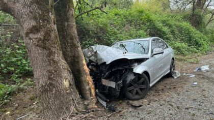 2-year-old dies, 8-year-old critically injured after crash in Auburn