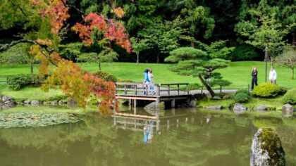 Seattle Japanese Garden to temporarily close this summer for $2.8M restoration