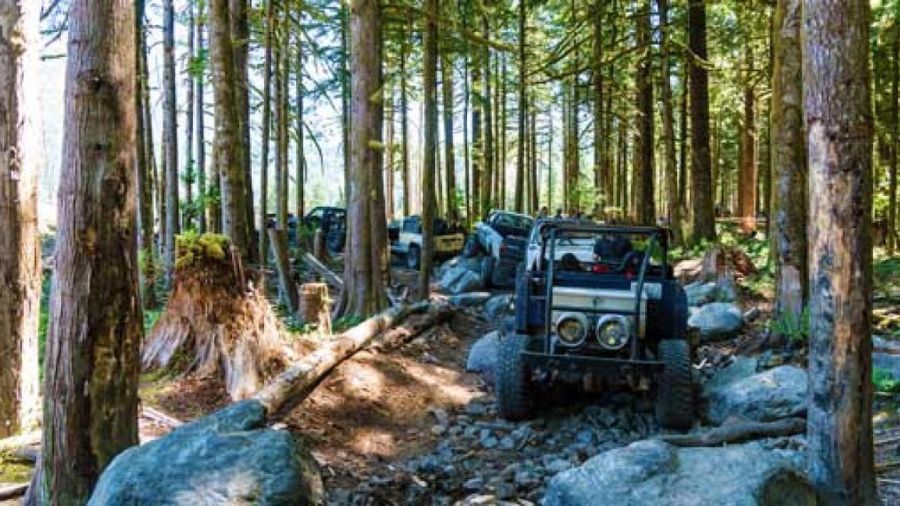 WA campgrounds income tax budget...