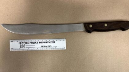 Suspect with $5K assault warrant arrested in Chinatown, armed with 'dangerous weapon'