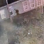 Surveillance footage of Robert Rathvon the night before he died. (Photo courtesy of Kathryn Rathvon)