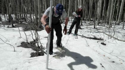 Washington declares statewide drought emergency after warm winter cuts snowpack in half