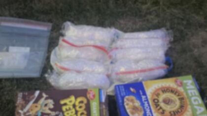 Honduran national sentenced to more than 4 years for trafficking 28 pounds of meth, 10,000 fentanyl pills