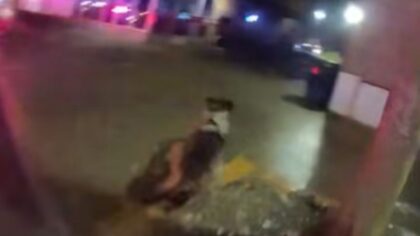 WATCH: K-9 Deebo takes down fleeing suspect after Parkland car chase