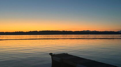 Victim could face 'permanent disfigurement' after hit-and-run boat collision in Thurston County