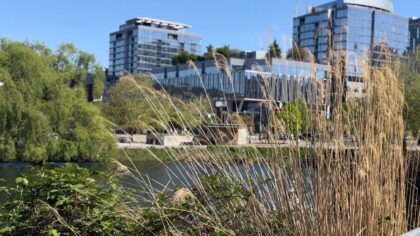 Expect sunshine, warm temperatures, and no rain in Western WA this Mother's Day weekend