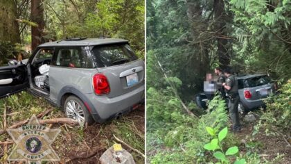 Suspected DUI driver crashes into tree after swerving through active school zone in Port Orchard