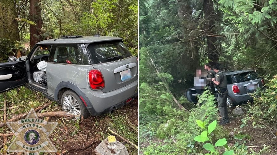 DUI port orchard...