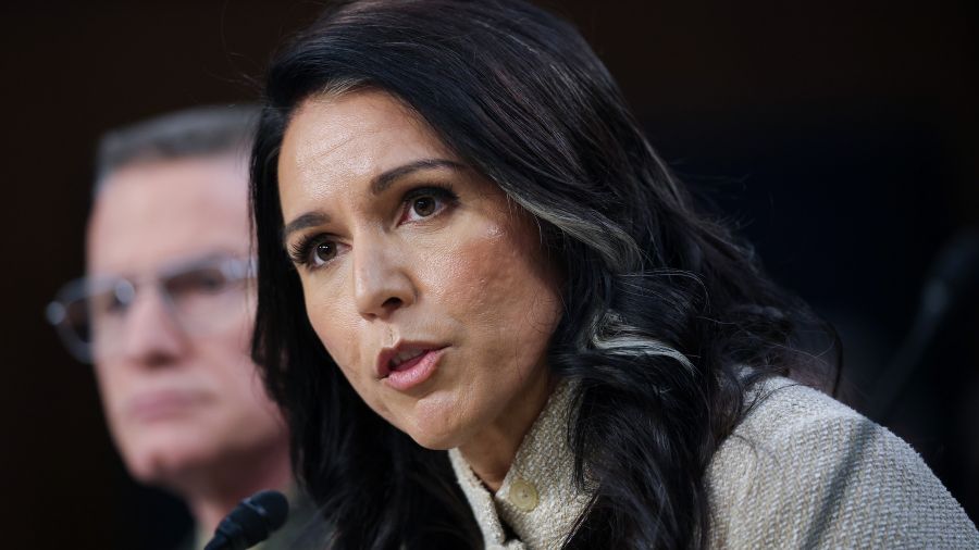 tulsi gabbard trump resigns...