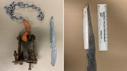 18-year-old attacks woman at Seattle park with medieval-style homemade flail, 6-inch knife