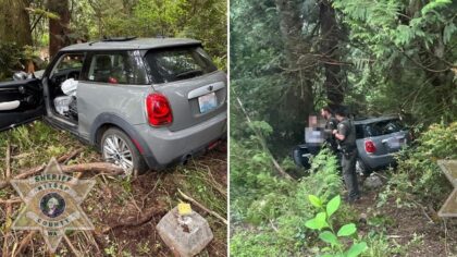 25-year-old woman arrested for suspected DUI after crashing into tree near Port Orchard school zone