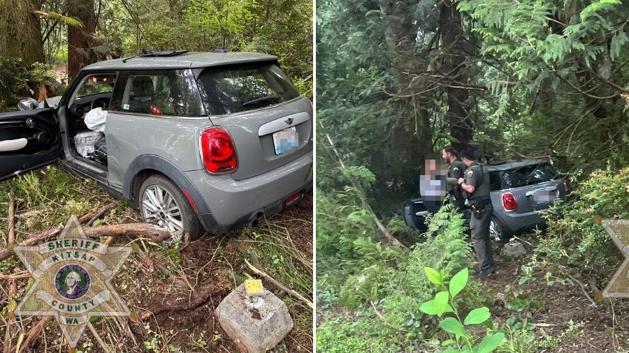 Port orchard dui crash tree...