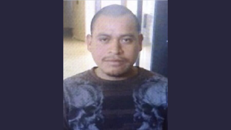 fugitive whatcom county...