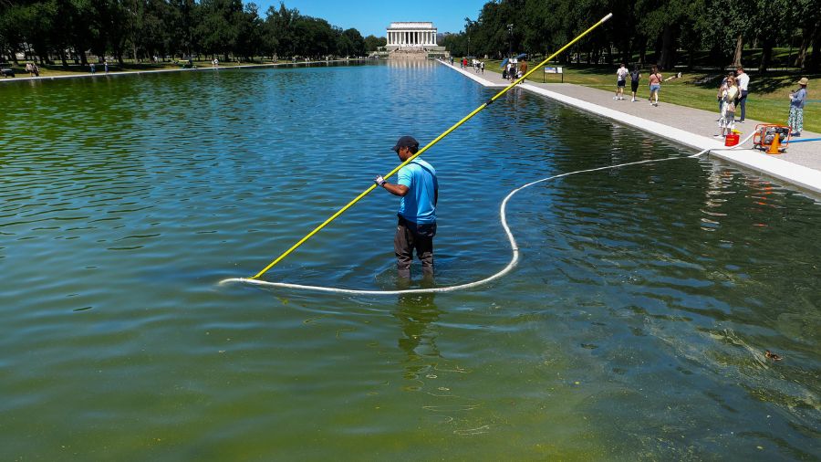 Reflecting Pool trump vandalism...