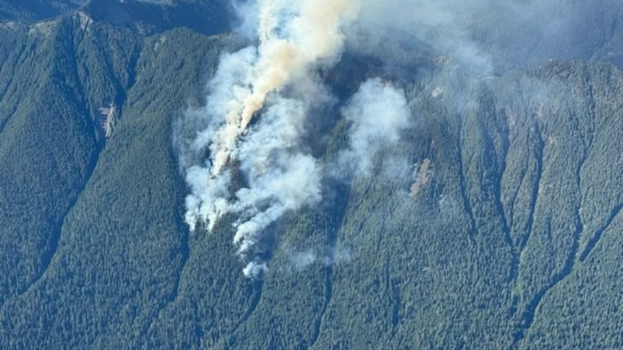 wildfire lightning olympic national park...