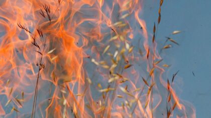 Lambdin Fire grows to 13,300 acres, "Go Now" evacuations in effect in Walla Walla