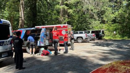 Officials call off search for black bear that clawed teen near Mt. Si