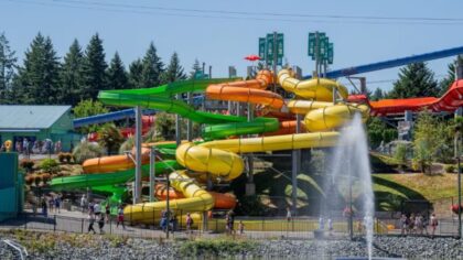 'Losing Wild Waves is a real bummer': Ursula says housing should replace park instead of massive warehouse