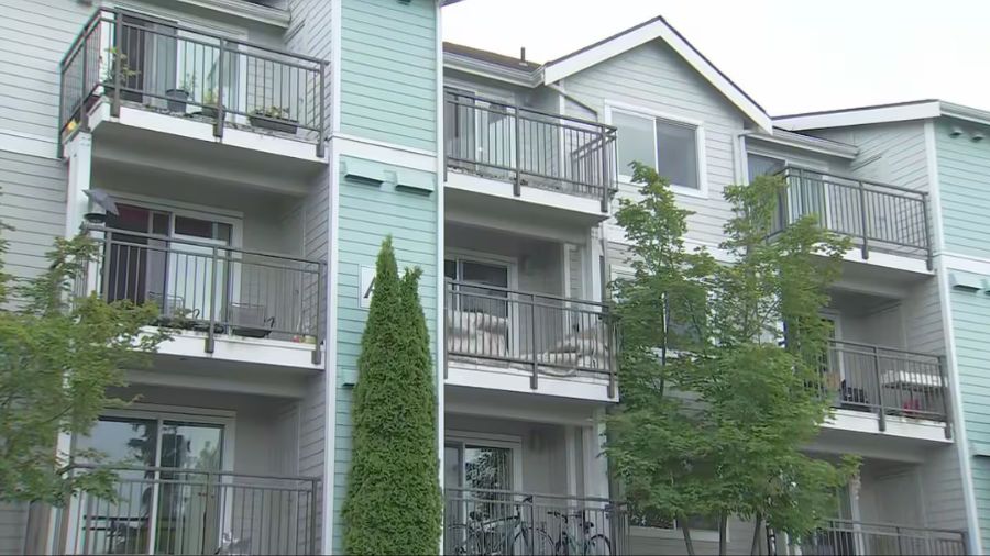 bellevue killing wife...
