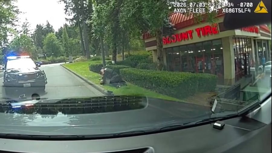 headlock thurston county arrest...